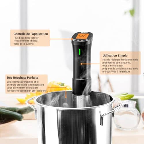 product-Inkbird-ISV-200W-Cuiseur-Sous-Vide-WiFi,Cuiseur-Oeuf-Thermoplongeur-Sous-Vide-Cooker-1000W,Calculateur-d'Immersion-Cuisinière-Thermostat-Réglable,Contrôle-Précis-pour-Viande,Oeuf,Légumes-4.jpg